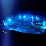 Dakota - Jacuzzi, Zwembad, Playstation