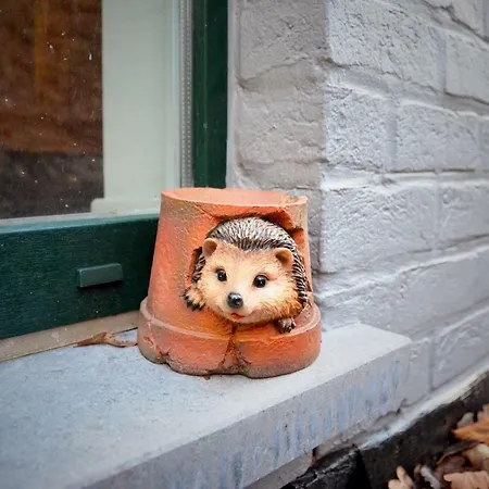 빌라 Dakota - Jacuzzi, Zwembad, Playstation 더뷔